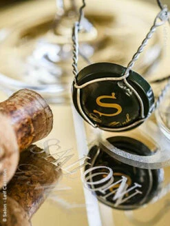 Salon 2008 Magnum (1,5l)