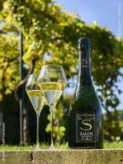 Salon 2012 Flasche (75cl)