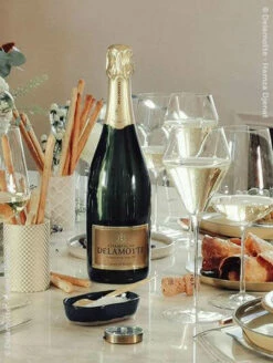 Delamotte : Blanc De Blancs 2004 Flasche (75cl)