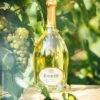Ruinart : Blanc De Blancs Ein Karton Mit 12 1/2 Flaschen (37,5cl) 2 Ruinart : Blanc De Blancs Ein Karton Mit 12 1/2 Flaschen (37,5cl) -Wine Shop 3048 1 bonus