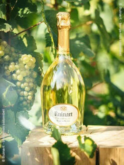 Ruinart : Blanc De Blancs Ein Karton Mit 12 1/2 Flaschen (37,5cl)