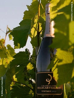 Billecart-Salmon : Vintage 2013 Ein Karton Mit 6 Flaschen Im Etui (75cl)