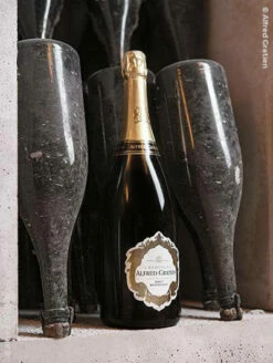 Titelseite -Wine Shop 3269 1 bonus 1