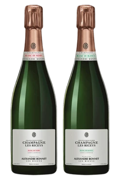 Domaine Alexandre Bonnet : Coffret Duo "Les Riceys" Blanc De Blancs Et Blanc De Noirs Die Kassette Mit 2 Fl.