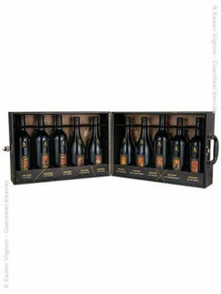 Xavier Vignon : Coffret Collector Arcane Die Kassette Mit 10 Fl.